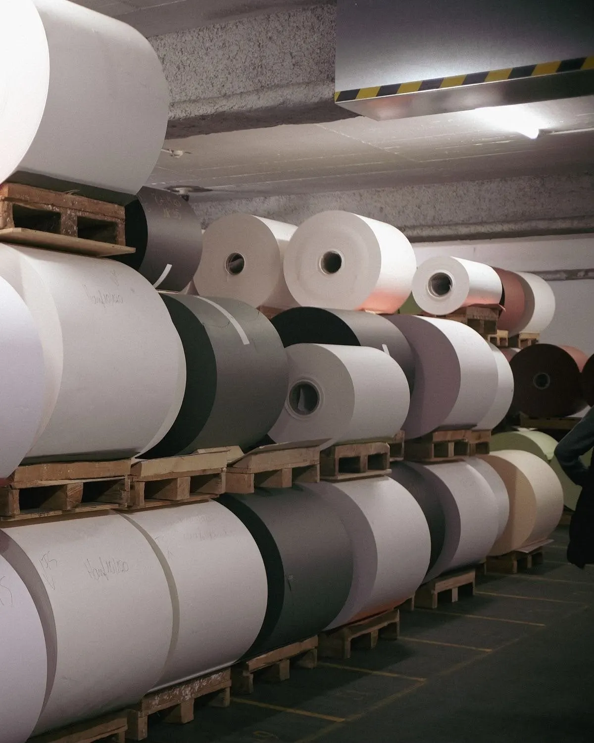 Large paper rolls stacked on pallets in a mill store