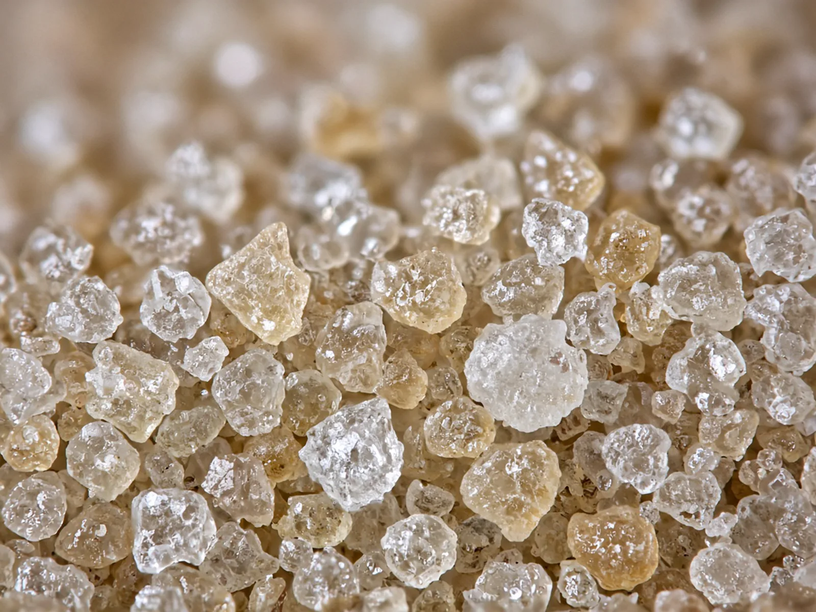 Close view of washed silica sand grains